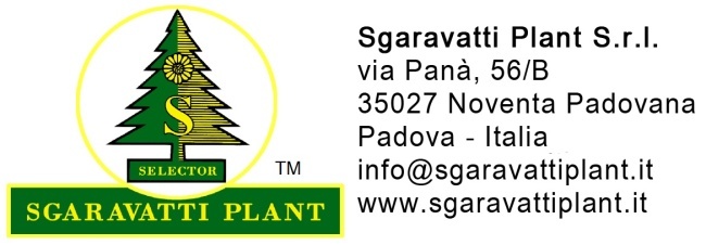StickerSgaravattiPlant